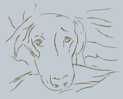 Sad Eyes