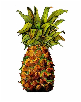 Pineapple