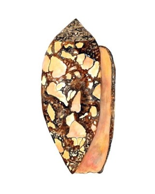 Aulicus Cone