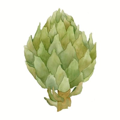 Artichoke