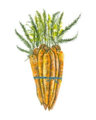 Carrots