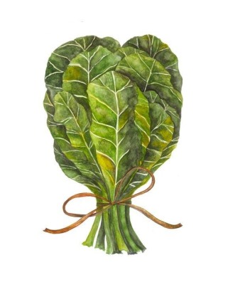 Collard Greens